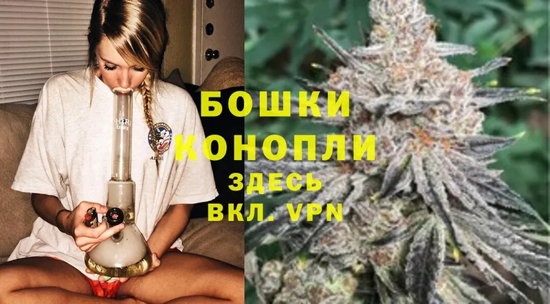 Бошки марихуана SATIVA & INDICA  как найти   Горняк 